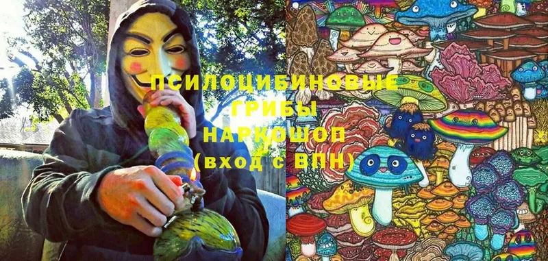 купить  цена  Курильск  Псилоцибиновые грибы Psilocybine cubensis 